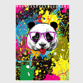 Скетчбук с принтом Панда хипстер в брызгах краски , 100% бумага
 | 48 листов, плотность листов — 100 г/м2, плотность картонной обложки — 250 г/м2. Листы скреплены сверху удобной пружинной спиралью | hipster | panda | брызги | в очках | краска | краски | красок | крутая | милая | модная | очки | панда | показывает язык | пятна | хипстер | экспрессионизм | язык | яркая | яркие