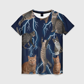 Женская футболка 3D с принтом Коты , 100% полиэфир ( синтетическое хлопкоподобное полотно) | прямой крой, круглый вырез горловины, длина до линии бедер | город | животное | забавный | кот | молния