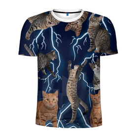 Мужская футболка 3D спортивная с принтом Коты , 100% полиэстер с улучшенными характеристиками | приталенный силуэт, круглая горловина, широкие плечи, сужается к линии бедра | город | животное | забавный | кот | молния