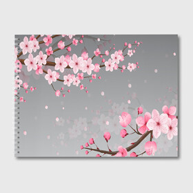 Альбом для рисования с принтом САКУРА , 100% бумага
 | матовая бумага, плотность 200 мг. | Тематика изображения на принте: chery | flowers | japan | sakura | вишня | растения | сакура | цветы | цветы сакуры | япония
