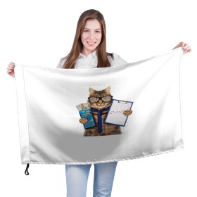 Флаг 3D с принтом Кот в очках , 100% полиэстер | плотность ткани — 95 г/м2, размер — 67 х 109 см. Принт наносится с одной стороны | cat | график | деньги | калькулятор | кот | кот в очках