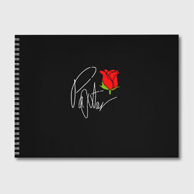 Альбом для рисования с принтом PAYTON MOORMEIER , 100% бумага
 | матовая бумага, плотность 200 мг. | flower | payton moormeier | roses | tiktok | блогер | пейтон | пейтон моормиер | розы | тикток | тиктокер | цветы | ютубер