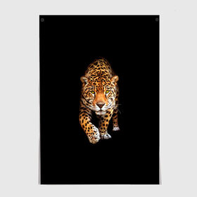 Постер с принтом Ягуар , 100% бумага
 | бумага, плотность 150 мг. Матовая, но за счет высокого коэффициента гладкости имеет небольшой блеск и дает на свету блики, но в отличии от глянцевой бумаги не покрыта лаком | animal | art | black | cat | hunter | jaguar | leopard | арт | гепард | голова | животное | животные | зверь | клыки | кот | кошка | леопард | охотник | темнота | хищник | ягуар