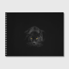Альбом для рисования с принтом Пантера , 100% бумага
 | матовая бумага, плотность 200 мг. | Тематика изображения на принте: animal | animals | beast | black | cat | kitten | phanter | животное | животные | зверек | зверь | кот | котики | кошка | кошки | пантера | черная