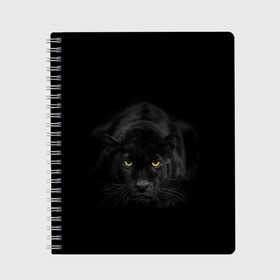 Тетрадь с принтом Пантера , 100% бумага | 48 листов, плотность листов — 60 г/м2, плотность картонной обложки — 250 г/м2. Листы скреплены сбоку удобной пружинной спиралью. Уголки страниц и обложки скругленные. Цвет линий — светло-серый
 | Тематика изображения на принте: animal | animals | beast | black | cat | kitten | phanter | животное | животные | зверек | зверь | кот | котики | кошка | кошки | пантера | черная
