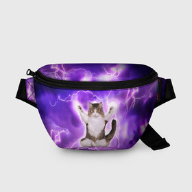 Поясная сумка 3D с принтом Повелитель Молний | Котэ , 100% полиэстер | плотная ткань, ремень с регулируемой длиной, внутри несколько карманов для мелочей, основное отделение и карман с обратной стороны сумки застегиваются на молнию | cat | cats | kitten | kitty | memes | nice | punk | rain | yoga | грозы | дождь | йога | кот | котик | котики | котэ | кошка | медитация | мем | мемы | милая | милый | молнии | панк | приколы | рок | рэп | трэш
