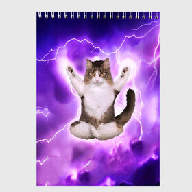 Скетчбук с принтом Повелитель Молний Котэ , 100% бумага
 | 48 листов, плотность листов — 100 г/м2, плотность картонной обложки — 250 г/м2. Листы скреплены сверху удобной пружинной спиралью | cat | cats | kitten | kitty | memes | nice | punk | rain | yoga | грозы | дождь | йога | кот | котик | котики | котэ | кошка | медитация | мем | мемы | милая | милый | молнии | панк | приколы | рок | рэп | трэш