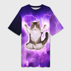 Платье-футболка 3D с принтом Повелитель Молний | Котэ ,  |  | cat | cats | kitten | kitty | memes | nice | punk | rain | yoga | грозы | дождь | йога | кот | котик | котики | котэ | кошка | медитация | мем | мемы | милая | милый | молнии | панк | приколы | рок | рэп | трэш