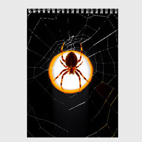 Скетчбук с принтом Spider , 100% бумага
 | 48 листов, плотность листов — 100 г/м2, плотность картонной обложки — 250 г/м2. Листы скреплены сверху удобной пружинной спиралью | animal | hunter | spider | животное | животные | лапы | охота | охотник | паук | паутина | хищник
