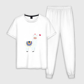 Мужская пижама хлопок с принтом Альпака-медсестра) , 100% хлопок | брюки и футболка прямого кроя, без карманов, на брюках мягкая резинка на поясе и по низу штанин
 | альпака | лама | медсестра