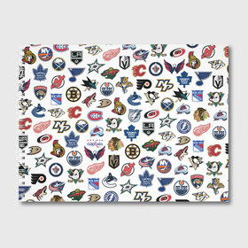 Альбом для рисования с принтом Логотипы НХЛ , 100% бумага
 | матовая бумага, плотность 200 мг. | Тематика изображения на принте: capitals | nhl | penguins | pittsburgh | washington | блюз | бостон | брюинз | вашингтон | детройт | кэпиталз | логотипы нхл | нью йорк | пингвинз | питтсбург | рейнджерс | сан хосе шаркс | сент луис | тампа бэй