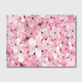 Альбом для рисования с принтом САКУРА , 100% бумага
 | матовая бумага, плотность 200 мг. | Тематика изображения на принте: chery | flowers | japan | sakura | вишня | растения | сакура | цветы | цветы сакуры | япония
