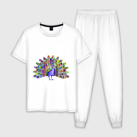 Мужская пижама хлопок с принтом Павлин , 100% хлопок | брюки и футболка прямого кроя, без карманов, на брюках мягкая резинка на поясе и по низу штанин
 | peacock | животные | павлин | птица