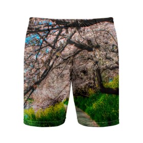Мужские шорты спортивные с принтом Весна 2020. ,  |  | весенние картинки | весна | весна 2020 | зелнь | прекрасное время года | прикольные картинки | природа | птицы | тюльпаны | цветы