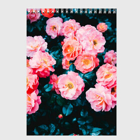 Скетчбук с принтом Dark flowers , 100% бумага
 | 48 листов, плотность листов — 100 г/м2, плотность картонной обложки — 250 г/м2. Листы скреплены сверху удобной пружинной спиралью | dark | flowers | leaves | roses | весна | лепестки | розы | сад | цветы