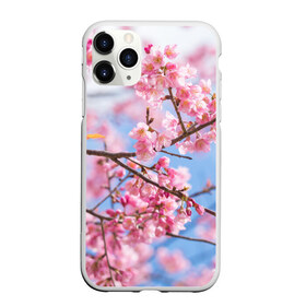 Чехол для iPhone 11 Pro Max матовый с принтом Ветки Сакуры , Силикон |  | Тематика изображения на принте: абрикос | весна | ветки | ветки сакуры | сакура ветки | цветение | цветы
