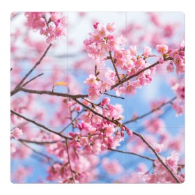 Магнитный плакат 3Х3 с принтом Ветки Сакуры , Полимерный материал с магнитным слоем | 9 деталей размером 9*9 см | Тематика изображения на принте: абрикос | весна | ветки | ветки сакуры | сакура ветки | цветение | цветы