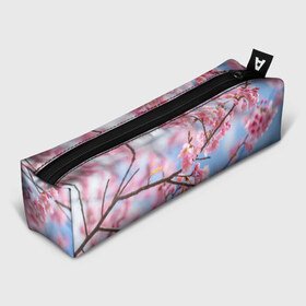 Пенал 3D с принтом Ветки Сакуры , 100% полиэстер | плотная ткань, застежка на молнии | Тематика изображения на принте: абрикос | весна | ветки | ветки сакуры | сакура ветки | цветение | цветы