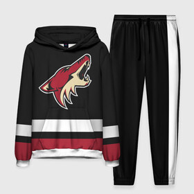 Мужской костюм 3D (с толстовкой) с принтом Аризона Койотис ,  |  | arizona | arizona coyotes | coyotes | hockey | nhl | usa | аризона | аризона койотис | койотис | нхл | спорт | сша | феникс | финикс койотс | хоккей | шайба