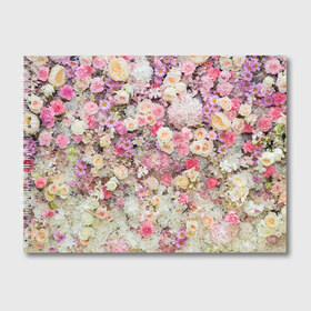 Альбом для рисования с принтом Весенние настроение , 100% бумага
 | матовая бумага, плотность 200 мг. | bloom | blossom | flos | flowers | красота | лепестки | лепесток | растения | цветки | цветы
цветы