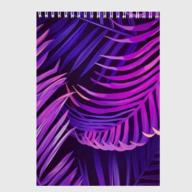 Скетчбук с принтом Тропики , 100% бумага
 | 48 листов, плотность листов — 100 г/м2, плотность картонной обложки — 250 г/м2. Листы скреплены сверху удобной пружинной спиралью | весна | лето | листья пальмы | пальма | текстура | тропики | фиолетово