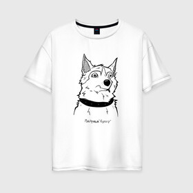 Женская футболка хлопок Oversize с принтом Курьер - Шарик 2 , 100% хлопок | свободный крой, круглый ворот, спущенный рукав, длина до линии бедер
 | reminor | животные | курьер | мультфильм | пес | собака | шарик