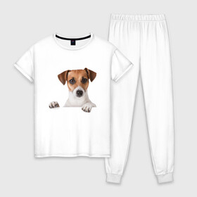 Женская пижама хлопок с принтом Собака , 100% хлопок | брюки и футболка прямого кроя, без карманов, на брюках мягкая резинка на поясе и по низу штанин | джек рассел | друг | пес | питомец | собака