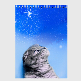 Скетчбук с принтом Кот и космос , 100% бумага
 | 48 листов, плотность листов — 100 г/м2, плотность картонной обложки — 250 г/м2. Листы скреплены сверху удобной пружинной спиралью | cat | cat and space | kitty | в космосе | звездное небо | звёзды | космический кот | кот | кот в космосе | кот и звезды | кот смотрит | кот смотрит на небо | котенок | котик | кошка