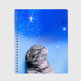 Тетрадь с принтом Кот и космос , 100% бумага | 48 листов, плотность листов — 60 г/м2, плотность картонной обложки — 250 г/м2. Листы скреплены сбоку удобной пружинной спиралью. Уголки страниц и обложки скругленные. Цвет линий — светло-серый
 | Тематика изображения на принте: cat | cat and space | kitty | в космосе | звездное небо | звёзды | космический кот | кот | кот в космосе | кот и звезды | кот смотрит | кот смотрит на небо | котенок | котик | кошка