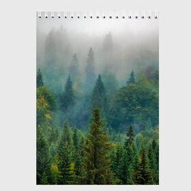 Скетчбук с принтом Лес , 100% бумага
 | 48 листов, плотность листов — 100 г/м2, плотность картонной обложки — 250 г/м2. Листы скреплены сверху удобной пружинной спиралью | siberia | trees | wood | деревья | ели | ёлки | ель | зеленый лес | лес | леса | природа | сибирский лес | сибирь | тайга | туман