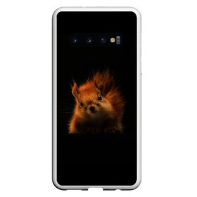 Чехол для Samsung Galaxy S10 с принтом белка , Силикон | Область печати: задняя сторона чехла, без боковых панелей | Тематика изображения на принте: белка | животные | зверек | картинки | прикольные | пушистый