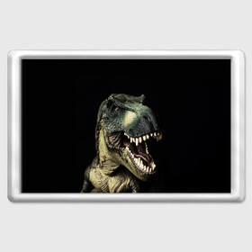 Магнит 45*70 с принтом Динозавр T-Rex , Пластик | Размер: 78*52 мм; Размер печати: 70*45 | dino | dinosauria | t rex | ti rex | дино | динозавр | парк юрского | т рекс | ти рекс | чудовище | юрский период | ящер | ящерица