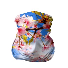 Бандана-труба 3D с принтом Сакура , 100% полиэстер, ткань с особыми свойствами — Activecool | плотность 150‒180 г/м2; хорошо тянется, но сохраняет форму | весна | красота | небо | отдых | отпуск | природа | сакура | солнце | тепло | цветок | цветы