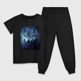 Детская пижама хлопок с принтом Волк , 100% хлопок |  брюки и футболка прямого кроя, без карманов, на брюках мягкая резинка на поясе и по низу штанин
 | wolf | волк | волк в лесу | волк с голубыми глазами | лесной волк | ночной волк | синий волк | собака | темный волк
