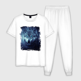 Мужская пижама хлопок с принтом Волк , 100% хлопок | брюки и футболка прямого кроя, без карманов, на брюках мягкая резинка на поясе и по низу штанин
 | Тематика изображения на принте: wolf | волк | волк в лесу | волк с голубыми глазами | лесной волк | ночной волк | синий волк | собака | темный волк