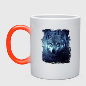 Кружка хамелеон с принтом Волк , керамика | меняет цвет при нагревании, емкость 330 мл | wolf | волк | волк в лесу | волк с голубыми глазами | лесной волк | ночной волк | синий волк | собака | темный волк