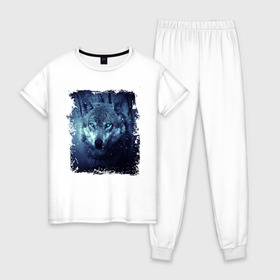 Женская пижама хлопок с принтом Волк , 100% хлопок | брюки и футболка прямого кроя, без карманов, на брюках мягкая резинка на поясе и по низу штанин | wolf | волк | волк в лесу | волк с голубыми глазами | лесной волк | ночной волк | синий волк | собака | темный волк