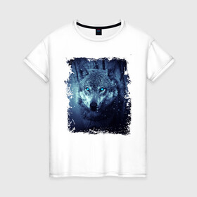 Женская футболка хлопок с принтом Волк , 100% хлопок | прямой крой, круглый вырез горловины, длина до линии бедер, слегка спущенное плечо | wolf | волк | волк в лесу | волк с голубыми глазами | лесной волк | ночной волк | синий волк | собака | темный волк