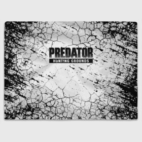 Плед 3D с принтом PREDATOR: HUNTING GROUNDS. , 100% полиэстер | закругленные углы, все края обработаны. Ткань не мнется и не растягивается | 90 е | predator | predator:hunting grounds | апгрейд | взгляд | воители | добыча | клыки | монстр | монстры | предатор | пришелец | против чужого | существо | фантастика | фэнтези | хищник