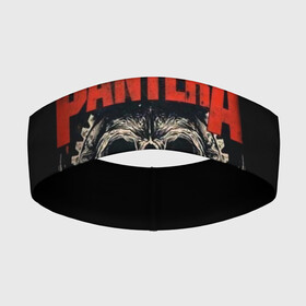 Повязка на голову 3D с принтом Pantera. ,  |  | pantera | американская метал группа | грув метал | группа | музыка | пантера | рок | рок группа