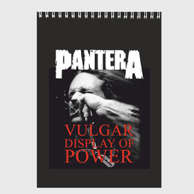 Скетчбук с принтом PANTERA VULGAR OF POWER , 100% бумага
 | 48 листов, плотность листов — 100 г/м2, плотность картонной обложки — 250 г/м2. Листы скреплены сверху удобной пружинной спиралью | pantera vulgar display of power | rock | вульгарный альбом | музыка | пантера | рок группа