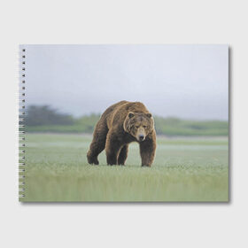Альбом для рисования с принтом Россия , 100% бумага
 | матовая бумага, плотность 200 мг. | bear | field | fur | muzzle | nature | paws | russia | лапы | медведь | поле | природа | россия