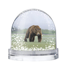 Снежный шар с принтом Россия , Пластик | Изображение внутри шара печатается на глянцевой фотобумаге с двух сторон | bear | field | fur | muzzle | nature | paws | russia | лапы | медведь | поле | природа | россия