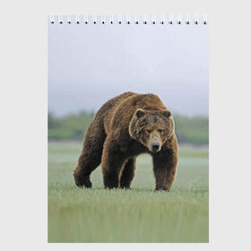 Скетчбук с принтом Россия , 100% бумага
 | 48 листов, плотность листов — 100 г/м2, плотность картонной обложки — 250 г/м2. Листы скреплены сверху удобной пружинной спиралью | bear | field | fur | muzzle | nature | paws | russia | лапы | медведь | поле | природа | россия