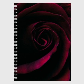 Тетрадь с принтом Dark Rose , 100% бумага | 48 листов, плотность листов — 60 г/м2, плотность картонной обложки — 250 г/м2. Листы скреплены сбоку удобной пружинной спиралью. Уголки страниц и обложки скругленные. Цвет линий — светло-серый
 | Тематика изображения на принте: art | dark | flower | red | rose | арт | бутон | лепестки | роза | текстура | темный | цветы