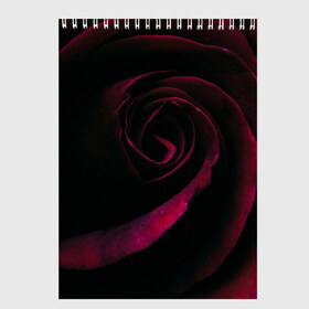 Скетчбук с принтом Dark Rose , 100% бумага
 | 48 листов, плотность листов — 100 г/м2, плотность картонной обложки — 250 г/м2. Листы скреплены сверху удобной пружинной спиралью | art | dark | flower | red | rose | арт | бутон | лепестки | роза | текстура | темный | цветы