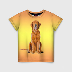 Детская футболка 3D с принтом Золотистый ретривер , 100% гипоаллергенный полиэфир | прямой крой, круглый вырез горловины, длина до линии бедер, чуть спущенное плечо, ткань немного тянется | домашние любимцы | животные | золотистый ретривер | собака