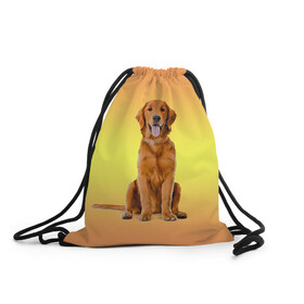 Рюкзак-мешок 3D с принтом Золотистый ретривер , 100% полиэстер | плотность ткани — 200 г/м2, размер — 35 х 45 см; лямки — толстые шнурки, застежка на шнуровке, без карманов и подкладки | домашние любимцы | животные | золотистый ретривер | собака