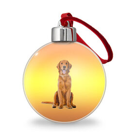 Ёлочный шар с принтом Золотистый ретривер , Пластик | Диаметр: 77 мм | домашние любимцы | животные | золотистый ретривер | собака