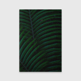 Обложка для паспорта матовая кожа с принтом Пальмовые листья , натуральная матовая кожа | размер 19,3 х 13,7 см; прозрачные пластиковые крепления | пальмы | папоротник | тропики